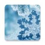 winter live wallpaper android application logo